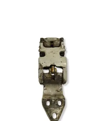 Fiat Ducato Rear door lower hinge 