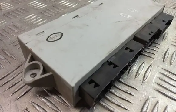 BMW 7 E65 E66 Door control unit/module 6958451 6015004017 TMF65BFT