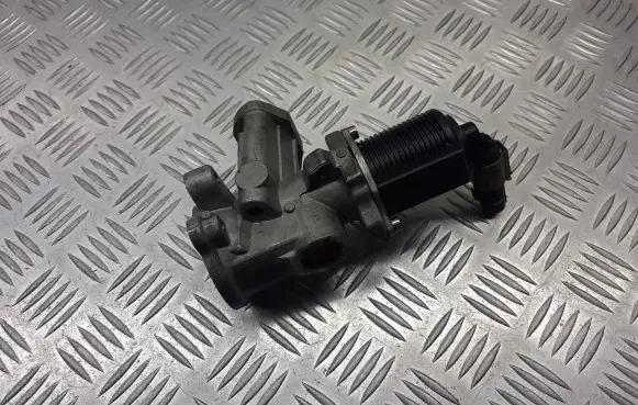 Fiat Grande Punto EGR valve