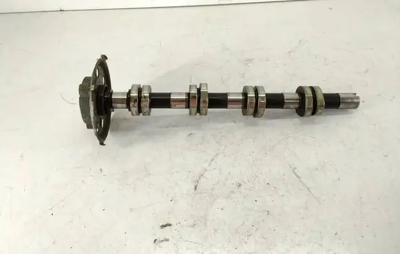 Volkswagen PASSAT B6 Camshaft pulley/ VANOS 03G109239C