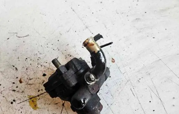 Renault Scenic I Power steering pump 7700415198