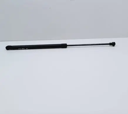 Tailgate/trunk strut/damper
