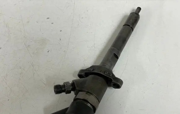 Citroen Xsara Picasso Fuel injector 0445110188 892080