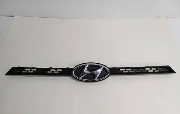 Front bumper upper radiator grill