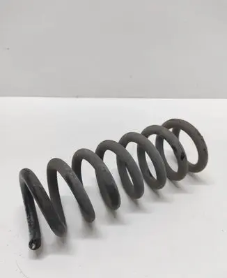Rear coil spring