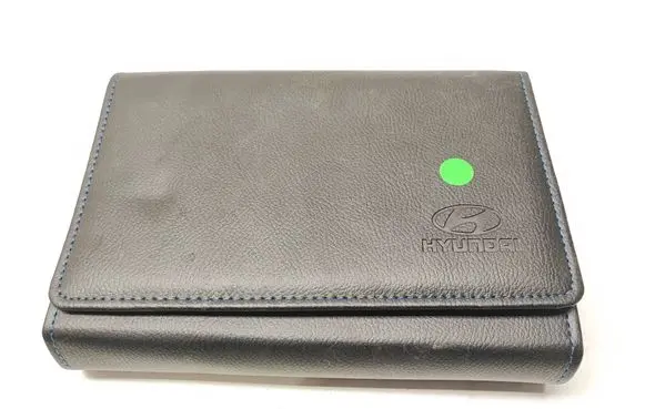 Hyundai Ioniq User manual 