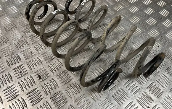 Rear coil spring