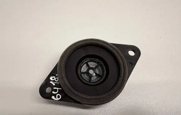 Panel speaker