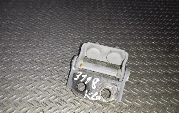 Tailgate/trunk/boot hinge