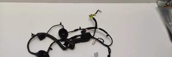 KIA Carens III Front door wiring loom 91610a4180