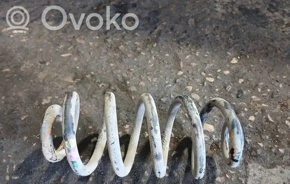 Audi A6 S6 C6 4F Rear coil spring