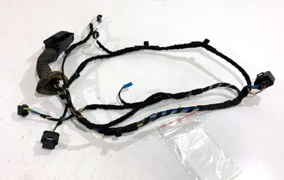 BMW X2 F39 Front door wiring loom 8795807
