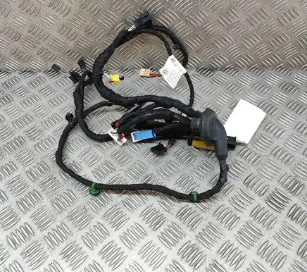 Volkswagen ID.3 Front door wiring loom 10A970401