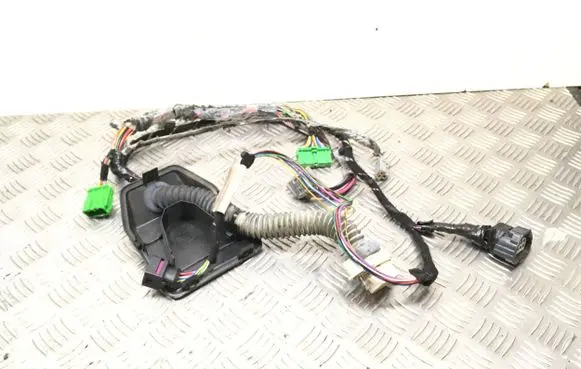 Front door wiring loom