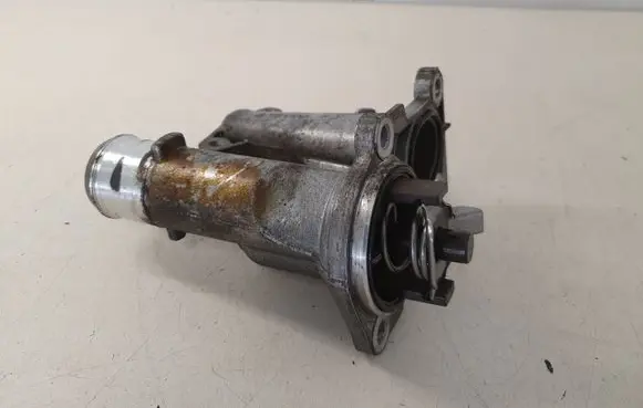 Thermostat/thermostat housing