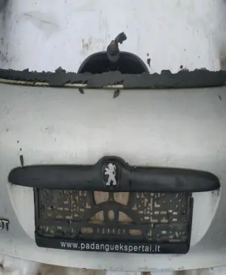 Trunk door license plate light bar