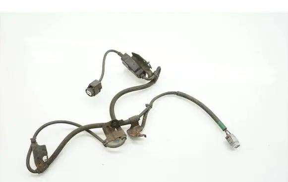 Lexus LS 460 - 600H Other wiring loom