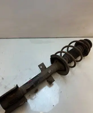 Alfa Romeo 147 Rear shock absorber with coil spring 293871938712