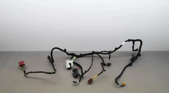 Other wiring loom