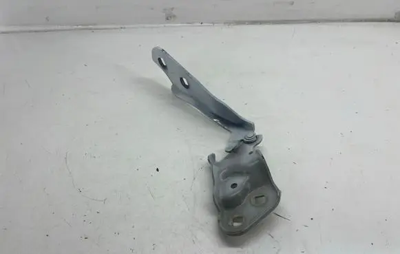 Tesla Model 3 Engine bonnet/hood hinges 109879300D