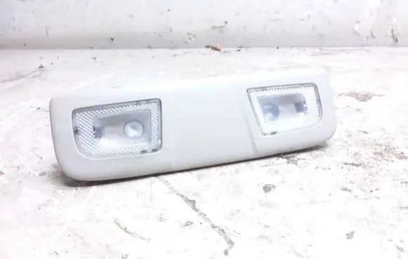 Opel Insignia B Rear seat light 39114119 A2480C102104D
