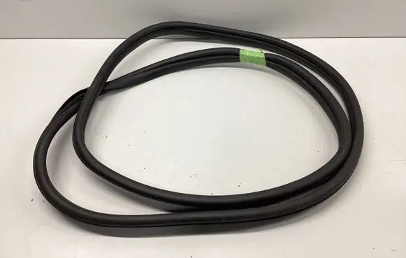 Hyundai Ioniq 5 Rubber seal rear door 