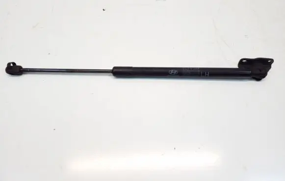 Tailgate/trunk strut/damper