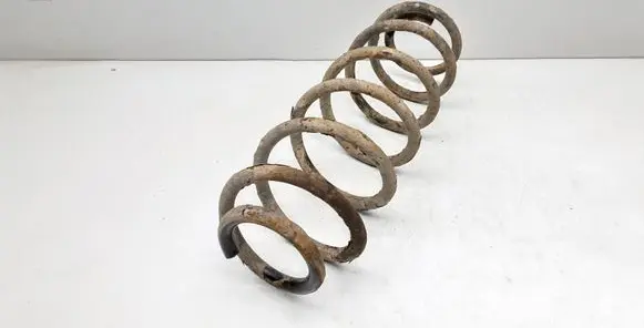 Rear coil spring