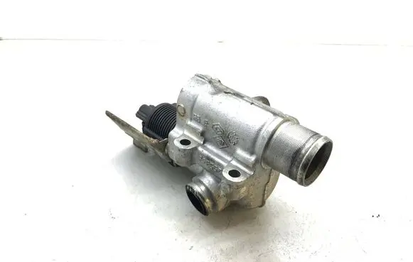Nissan Kubistar EGR valve 8200253725 k1993