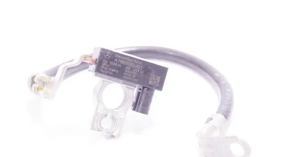 Mercedes-Benz GLE (W166 - C292) Negative earth cable (battery) A1669055901