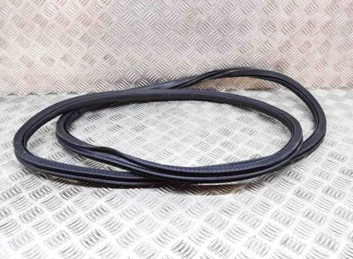 Fiat 500X Rubber seal front coupe door 51938341