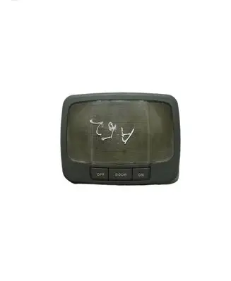Hyundai Terracan Rear seat light