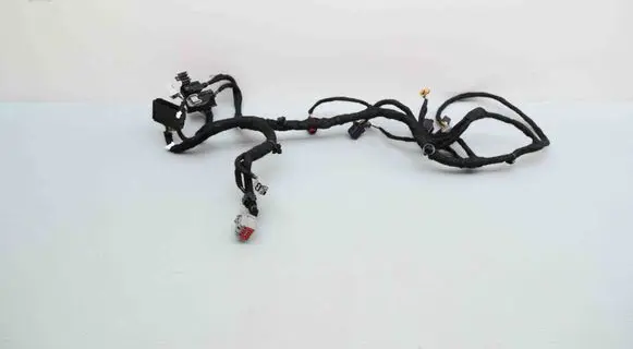 Alfa Romeo Stelvio Other wiring loom 00505560420