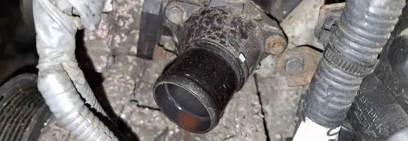 Engine coolant pipe/hose