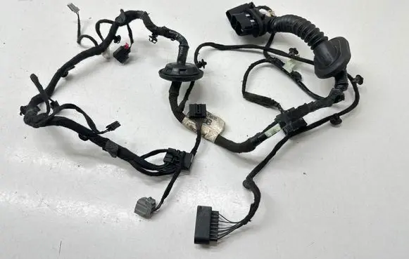 Front door wiring loom