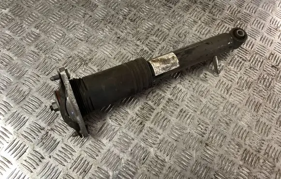 BMW X5 E70 Rear shock absorber/damper 6781932