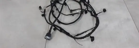 Volkswagen T-Roc Parking sensor (PDC) wiring loom 2GA971104