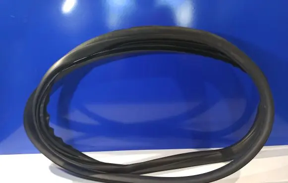 Volvo S60 Rubber seal front coupe door 31434309