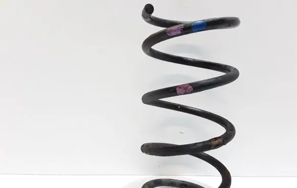 Hyundai Santa Fe Rear coil spring