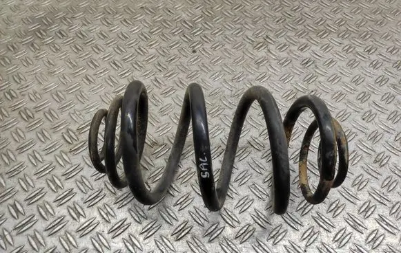 Renault Trafic II (X83) Rear coil spring
