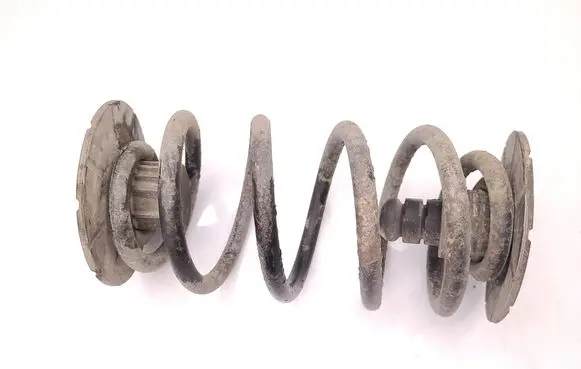 Rear coil spring