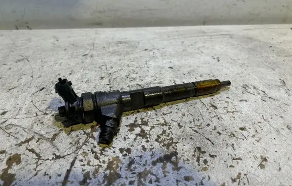 Renault Megane III Fuel injector 0445110485