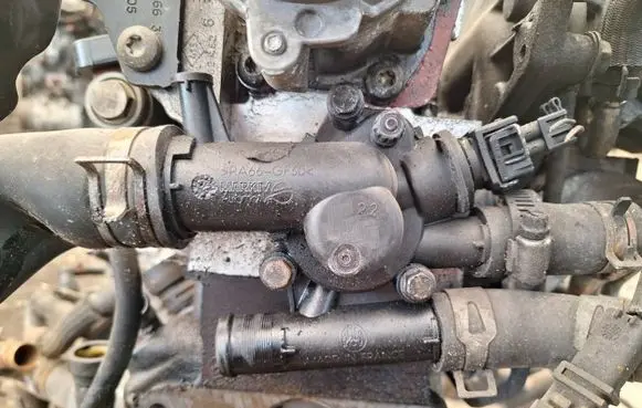 Suzuki Grand Vitara II Engine coolant pipe/hose