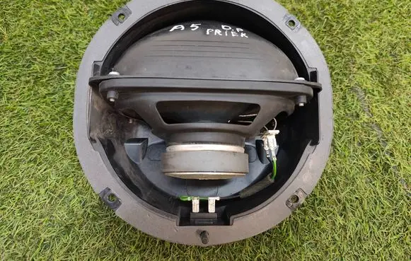 Front door speaker