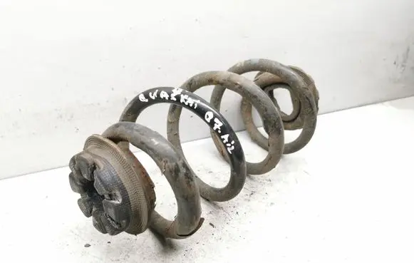 Nissan Qashqai Rear coil spring