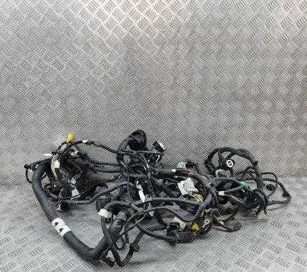 Ford Mustang Mach-E Other wiring loom CLJ8T14290EBJ LJ8T14290EBJ