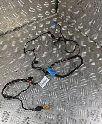Volkswagen PASSAT B8 Front door wiring loom 3G1971557B