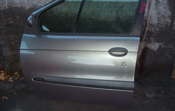 Renault Scenic I Front door NV603