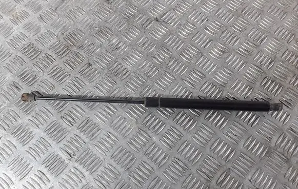 Tailgate strut