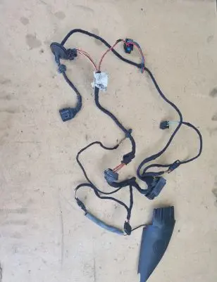 Front door wiring loom